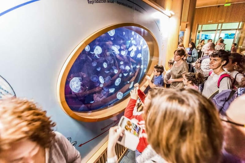 Valencia Oceanogràfic Entry with Backstage tour in Spanish - Final Thoughts
