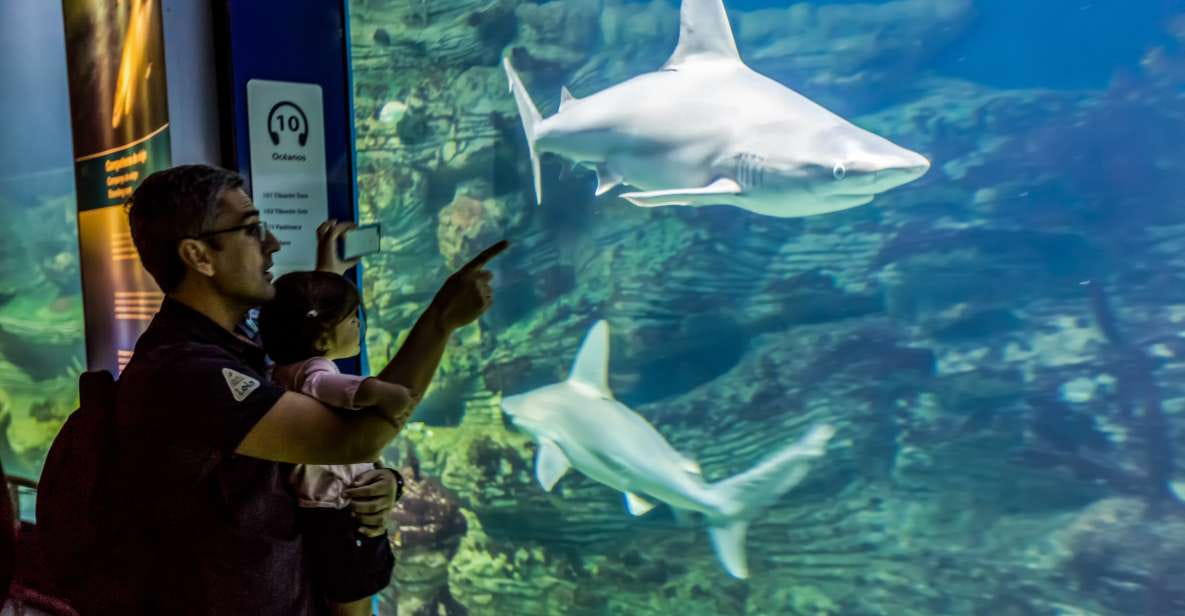 Valencia: Oceanographic Entry Ticket - Key Points