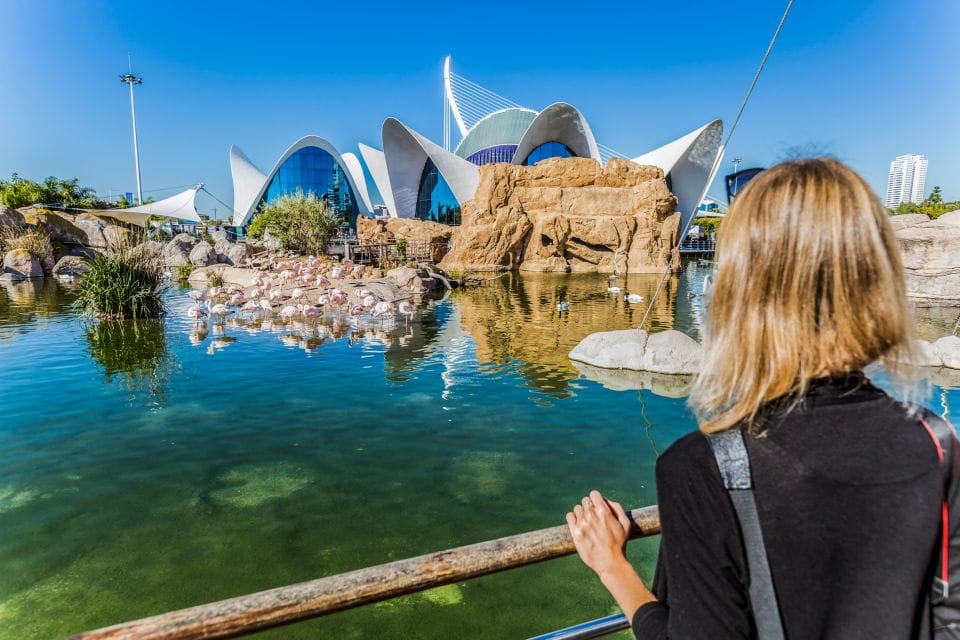 Valencia: Oceanographic Entry Ticket - Major Exhibits and Attractions