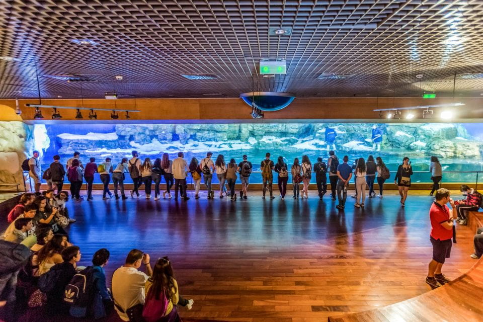 Valencia: Oceanographic Entry Ticket - Things To Know