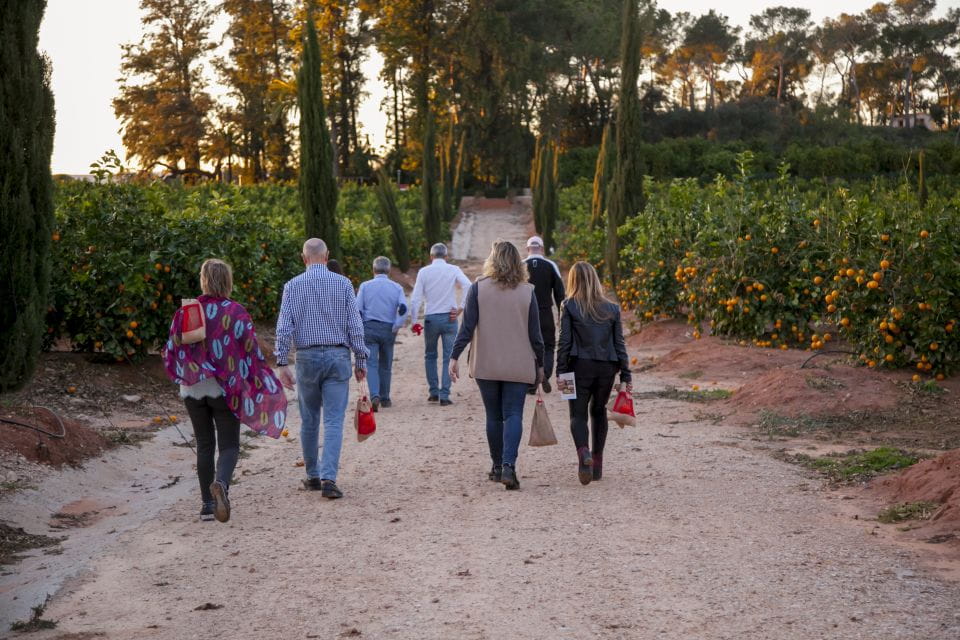 Valencia: Orange Farm and Orchard Trip With Tastings - Location and Directions