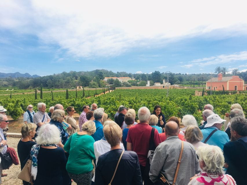 Valencia: Orange Farm and Orchard Trip With Tastings - Seasonal Orange Picking