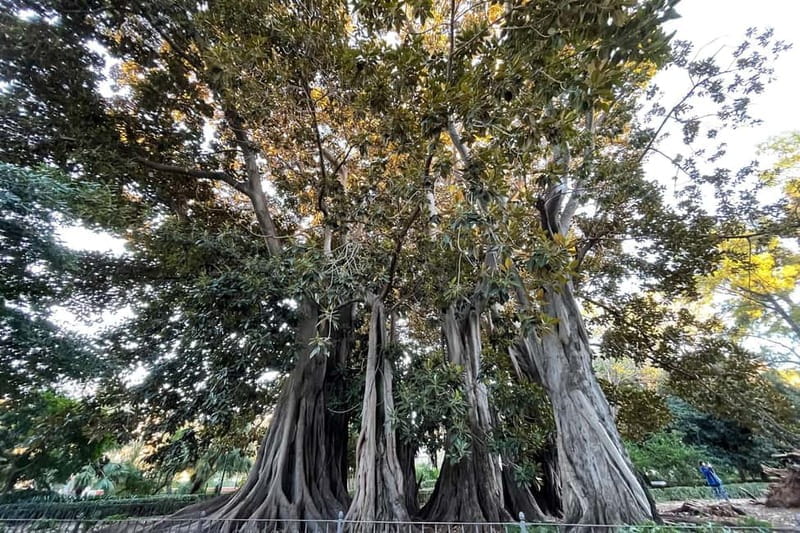 Valencia Parks: Private Tour on Bicycle, E-Bike or E-Step - The Sum Up: Who Is This Tour Best For?