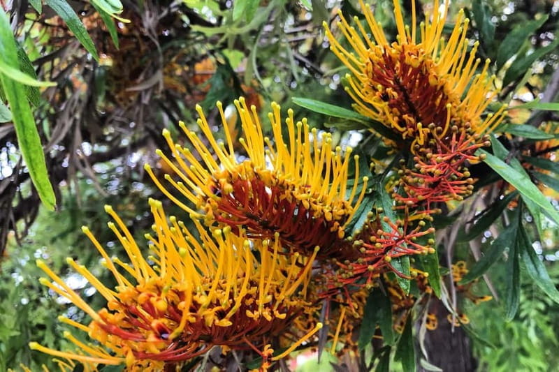 Valencia Parks: Private Tour on Bicycle, E-Bike or E-Step - FAQ