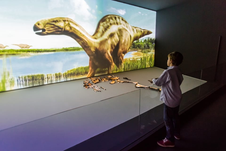 Valencia: Principe Felipe Science Museum Entry Ticket - Thematic Exhibits and Displays