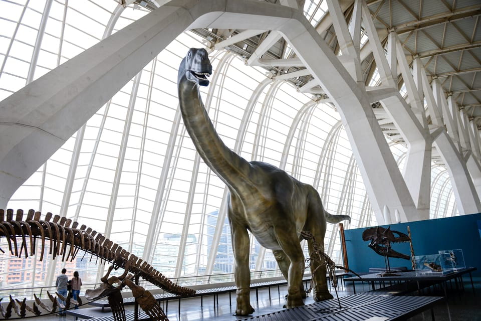 Valencia: Principe Felipe Science Museum Entry Ticket - Getting to the Museum