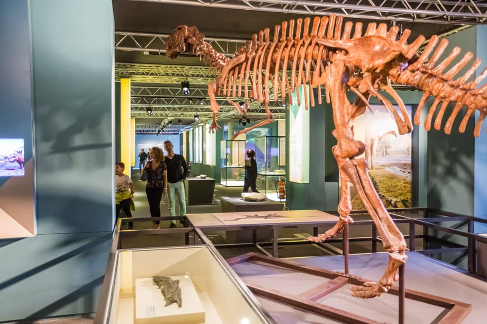 Valencia: Principe Felipe Science Museum Entry Ticket - Things To Know