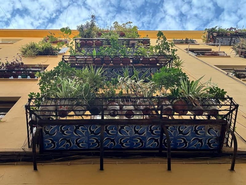 Valencia, Spain: Excellent Private Walking Photography Tour - FAQ