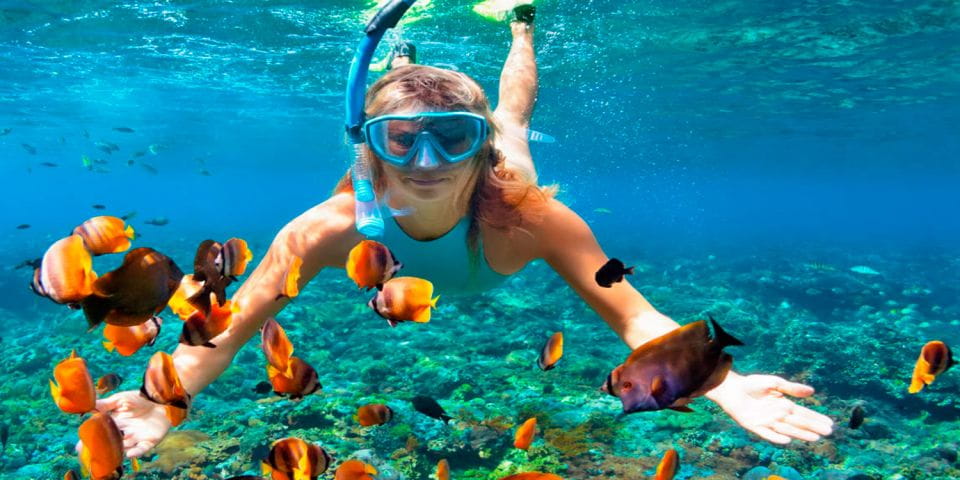 Valencia: Tabarca Island Full-Day Trip - Tips for Your Visit