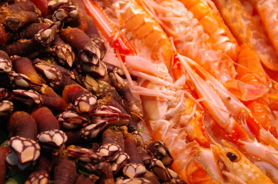 Valencia: Tapas and Sightseeing Guided Tour - Booking Information