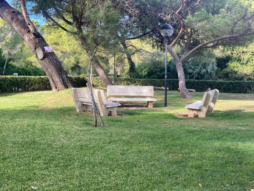 Valencia: The Albufera Lake Self-Guided E-Bike Tour - Inclusions and Exclusions