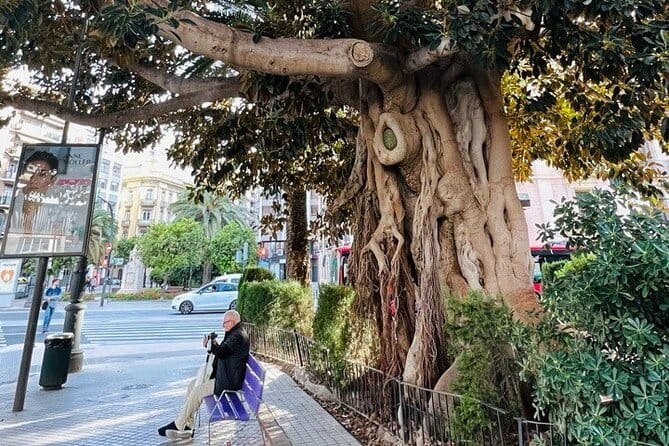 Valencia: Top 25 Highlights Guided Bike Tour - Frequently Asked Questions