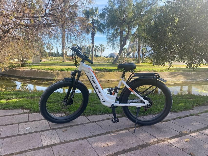 Valencia: Top 25 Highlights Guided Bike Tour - Things To Know