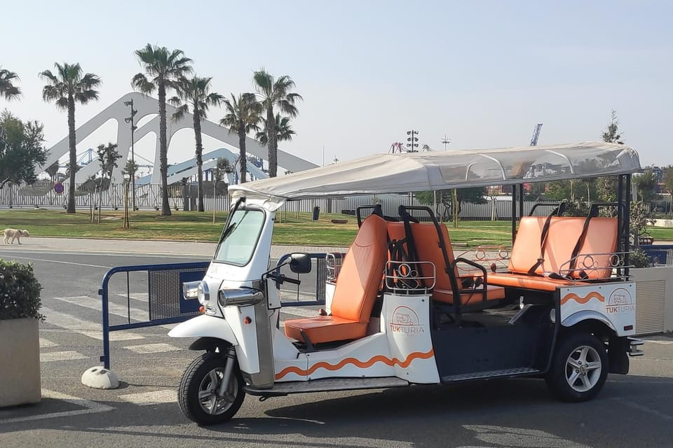 Valencia: Tuk Tuk City Tour - Things To Know