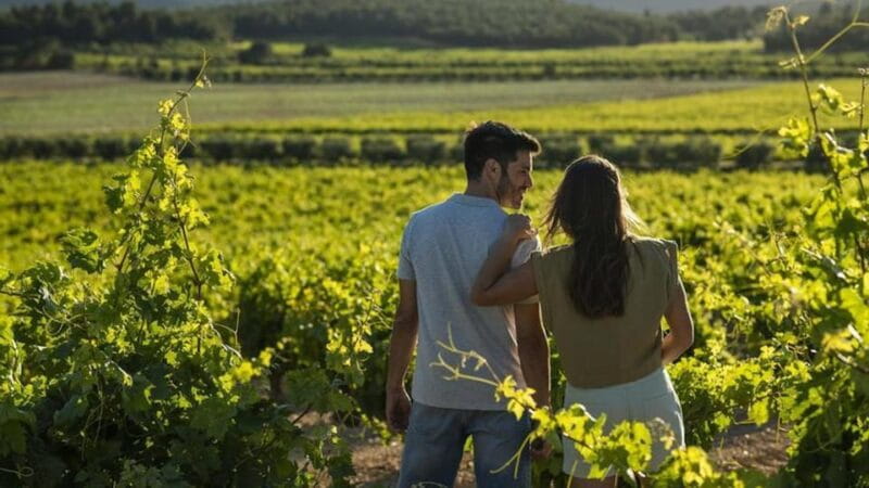 Valencia: Vineyard Tour with Local Wine Tasting & Appetizer - The Value of the Experience