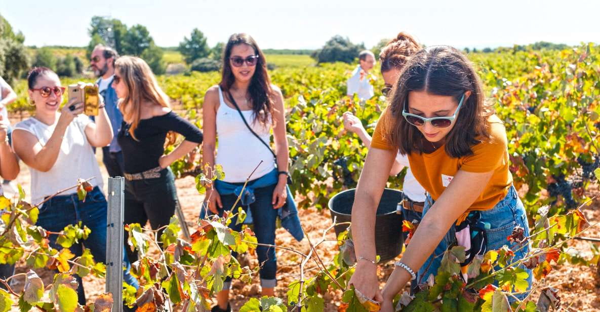 Valencia: Winery Visit With Vineyard Tour & Wine Tasting - Experience Highlights