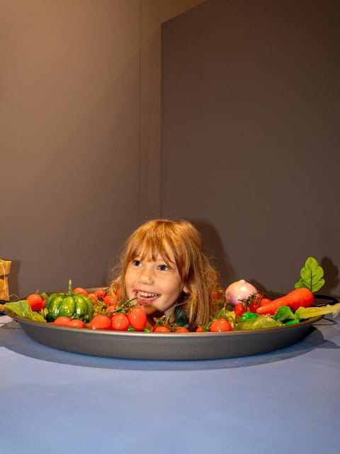 Valencia: World of Illusions Museum Entrance Ticket - Key points / Takeaways