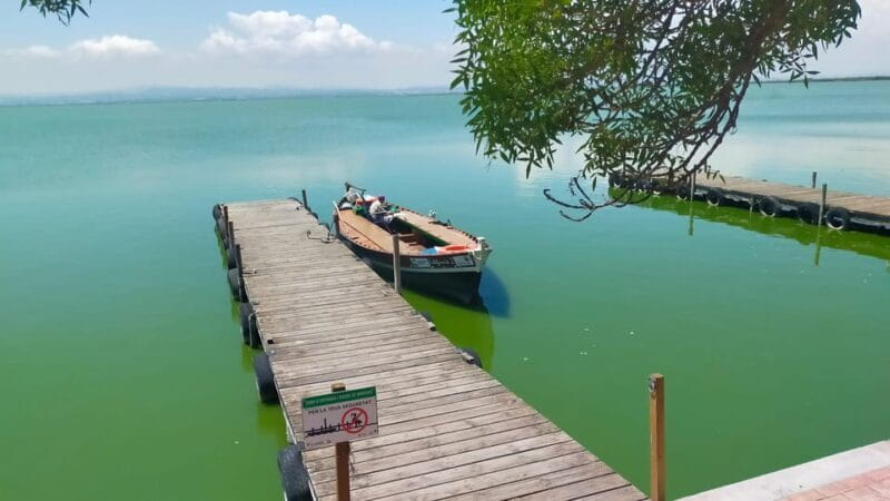 Valencia's Albufera, cycling guided tour - FAQ