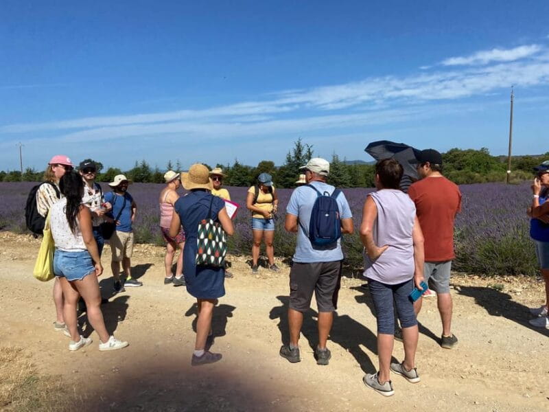 Valensole : Visit of a winery and lavender farm - Exploring Valensole’s Lavender and Vineyard Experience