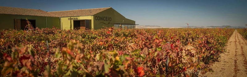 Valladolid: Concejo Bodegas - Key points / Takeaways