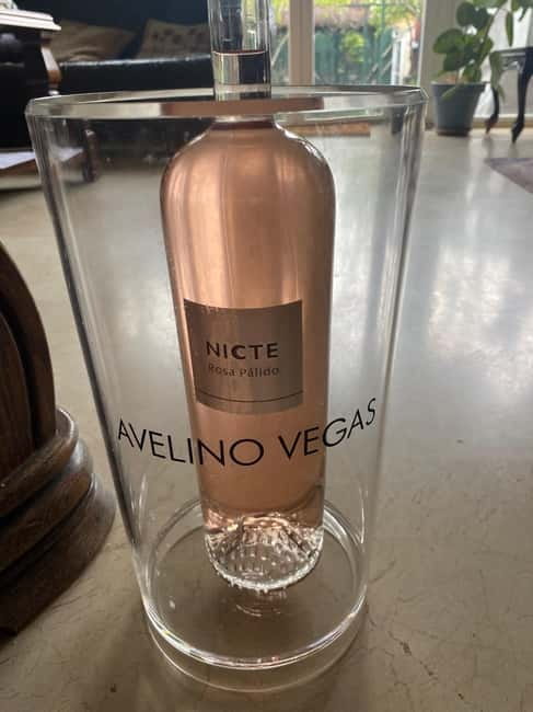 VALLADOLID: TOUR with a sommelier. Tasting of 3 wines + TAPAS. - How It Fits Into Your Valladolid Visit