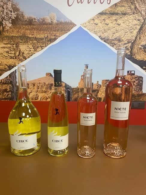 VALLADOLID: TOUR with a sommelier. Tasting of 3 wines + TAPAS. - Final Thoughts