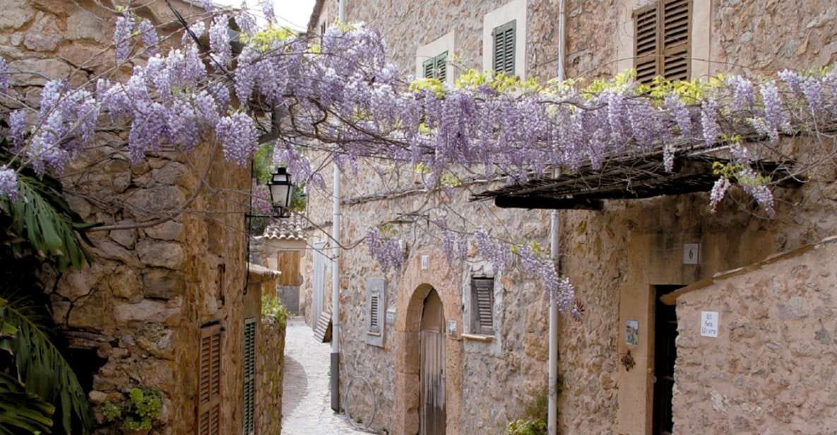 Valldemossa: Discover Valldemossa With a Transfer From Palma - Tour Duration and Schedule