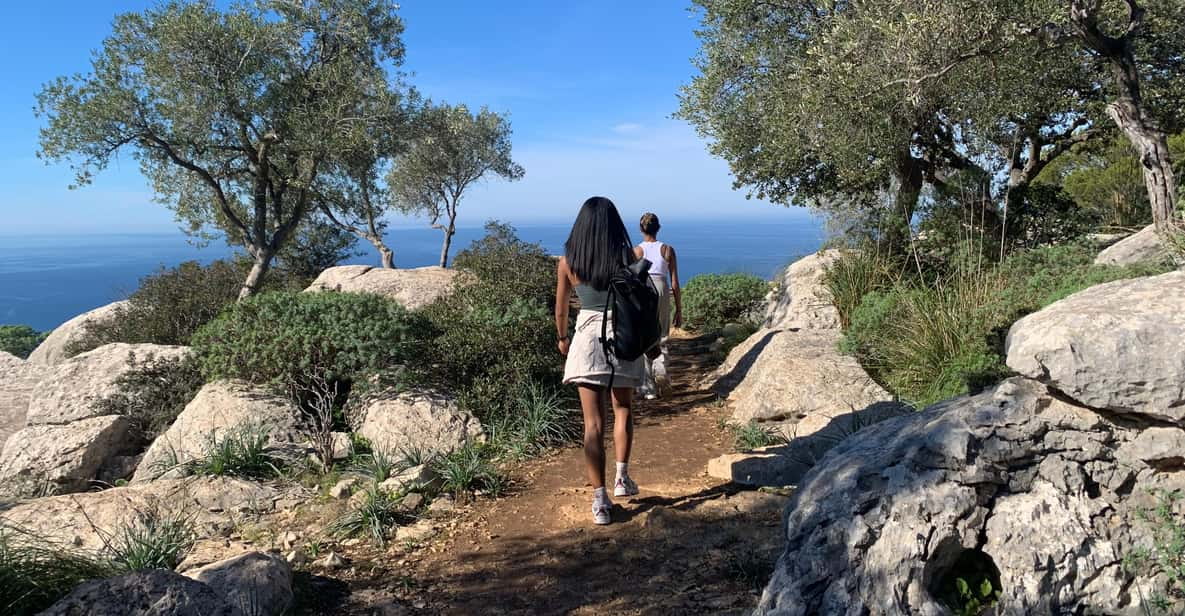 Valldemossa: Town and the Most Beautiful Viewpoints - Transportation and Meeting Point