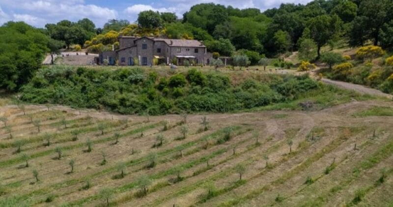 Valle del Lago: eBike tour with Food&Wine tasting experience - The Sum Up