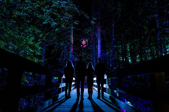 Vallea Lumina Multimedia Experience - Accessibility and Participation