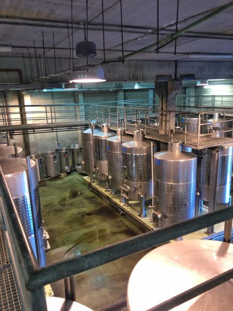 Valley of Tegueste : Wine Tour & Taste in El Lomo Winery - Key Points