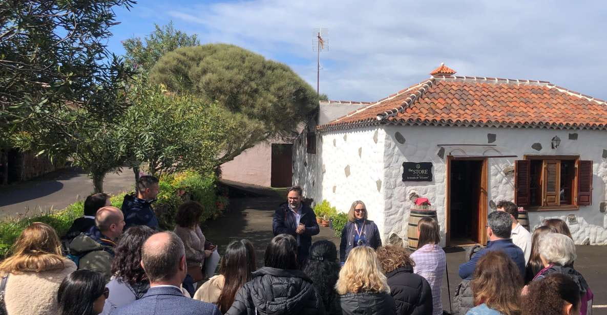 Valley of Tegueste : Wine Tour & Taste in El Lomo Winery - Tour Itinerary