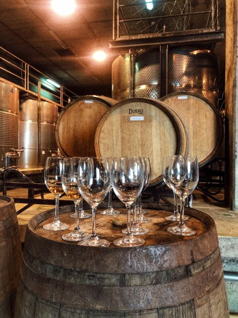 Valley of Tegueste : Wine Tour & Taste in El Lomo Winery - Things To Know