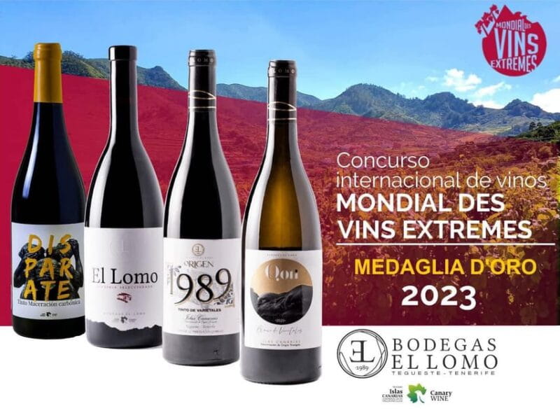 Valley of Tegueste: Wine Tour with Tasting at El Lomo Winery - Key Points / Takeaways