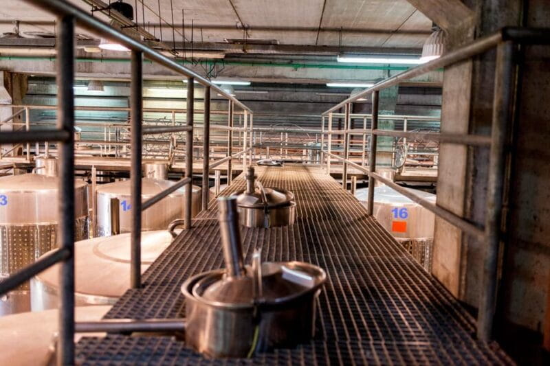 Valley of Tegueste: Wine Tour with Tasting at El Lomo Winery - The Charm of El 18 Vermouth Bar