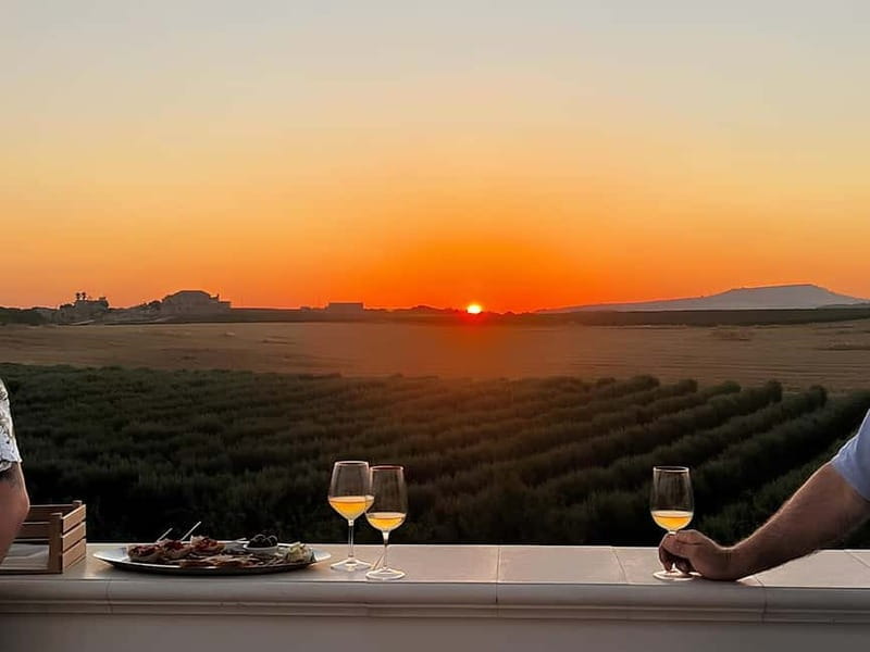 Valley of the Temples at sunset and Wine Tasting at night - The Walk Through Vineyards and Olive Groves