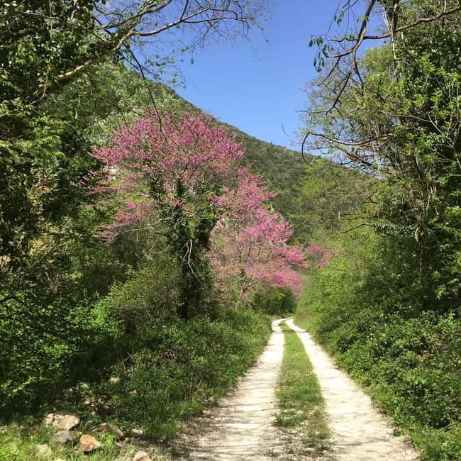 Valnerina: Fly Fishing Day with Guide - Who is This Experience Best For?