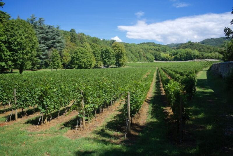 Valpolicella: Amarone Chateau Guided Tour and Wine Tasting - An In-Depth Look at the Valpolicella Experience