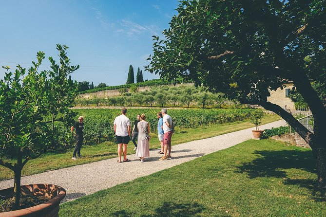 Valpolicella and Amarone Wine-Tasting Tour From Verona - Important Information for Travelers