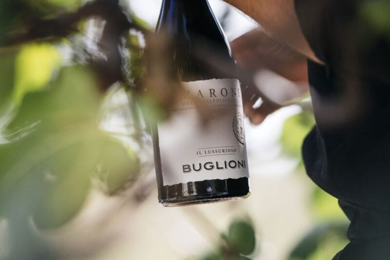 Valpolicella: Lunch or Dinner tasting with Amarone - Key Points / Takeaways