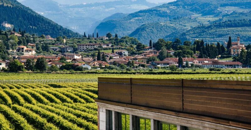 Valpolicella: Lunch or Dinner tasting with Amarone - What to Expect from the Experience