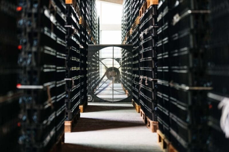 Valpolicella: Lunch or Dinner tasting with Amarone - The Tasting & Food Pairings: A Lesson in Balance