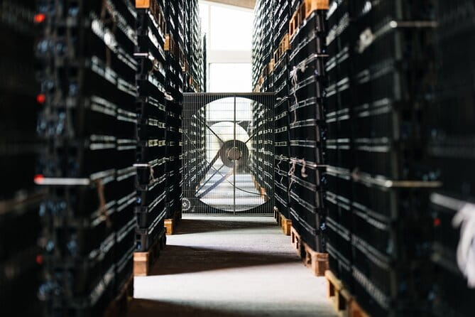 Valpolicella Lunch or Dinner Wine & Food tasting with Amarone - Who Is This Tour For?