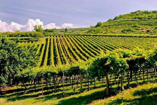 Valpolicella - The wine paradise - Key points / Takeaways