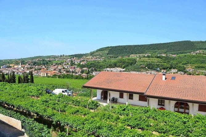 Valpolicella - The wine paradise - Exploring Valpolicella’s Top Wineries