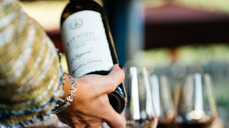 Valpolicella: Winery Tour with Red Wine&Cicchetti tasting - Key Points / Takeaways