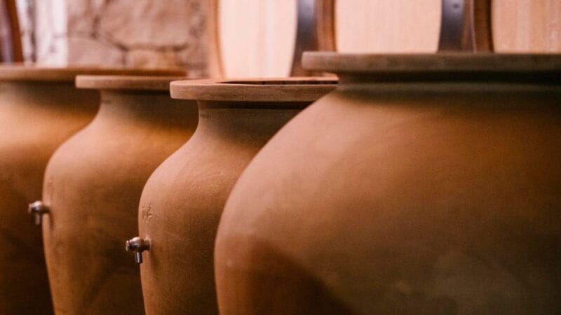 Valpolicella: Winery Tour with Red Wine&Cicchetti tasting - The Practicalities: Price, Duration, and Logistics