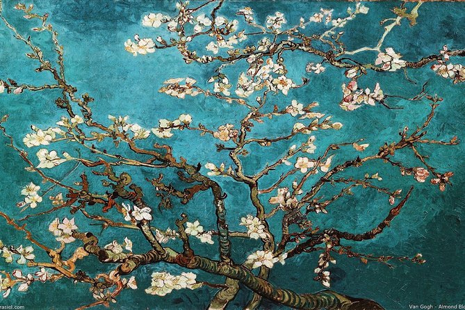 Van Gogh Museum Tour With Reserved Entry - Semi-Private 8ppl Max - Tour Inclusions