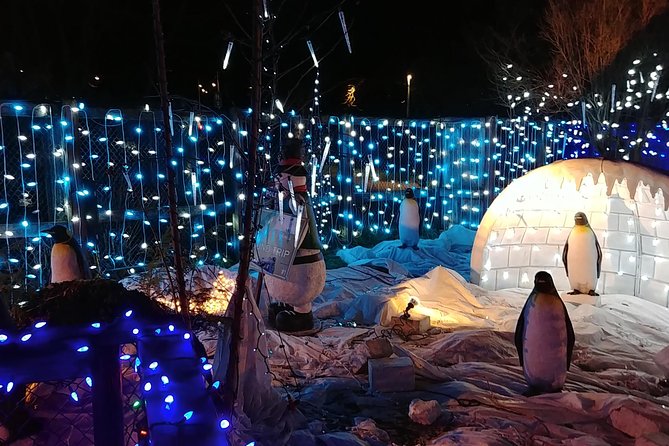 Vancouver Christmas Festival of Lights - Pickup and Start Time