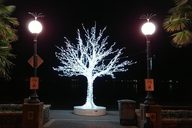 Vancouver Christmas Festival of Lights - Visiting VanDusen Botanical Garden